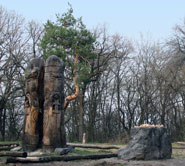 Лиса гора