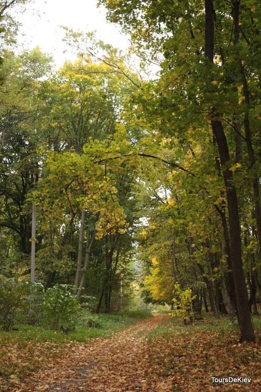 Екскурсія в Сокиринці і Тростянець